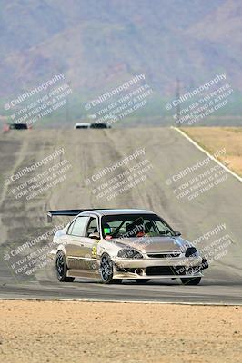 media/Mar-23-2024-Speed Ventures (Sat) [[406344cc49]]/5-Black Group/Session 1 (Back Straight Braking Zone)/